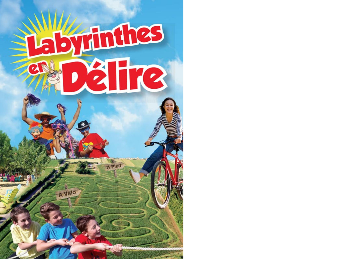 Sans titre