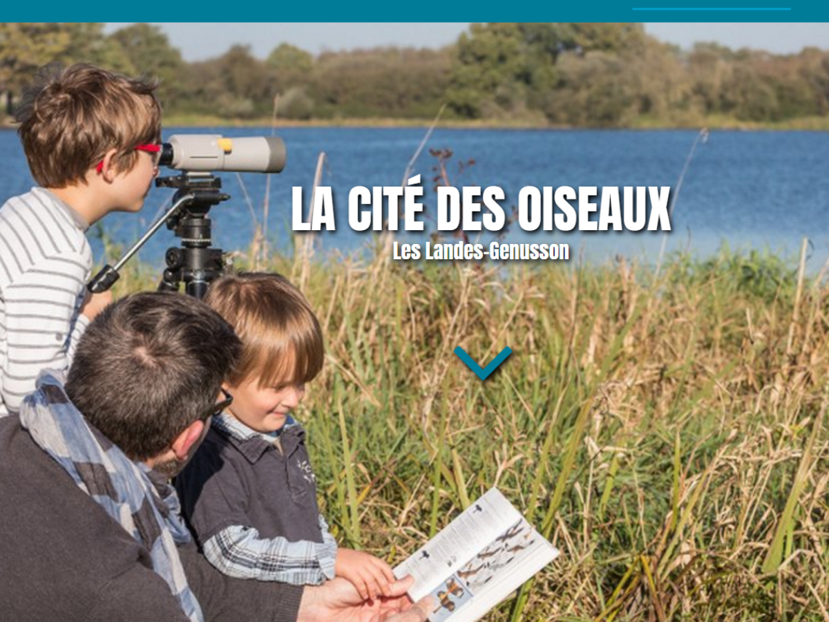 Sans titre (2)
